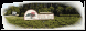 Myrtle Trace