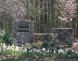 Falconbridge