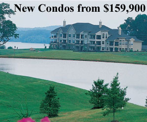 Rarity Bay on Tellico Lake