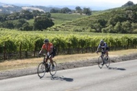 Healdsburg, CA