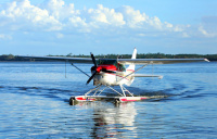 Tavares, FL