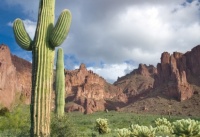 Mesa Arizona