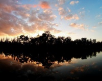 Palm City, FL