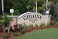 Colony in the Wood