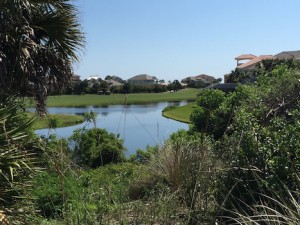 Hammock Bay in Palm Coast, FL