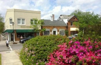 Image of Southern Pines