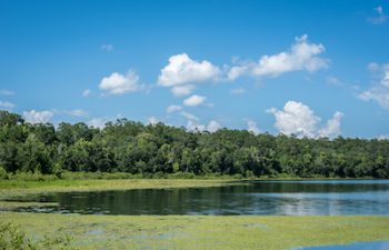Image of Lake Alfred