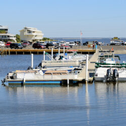 Cedar Key , Florida image 2