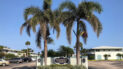 Image of Hampshire Gardens