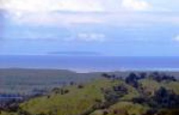 Image of Palmar Norte