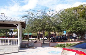 Image of Zephyrhills