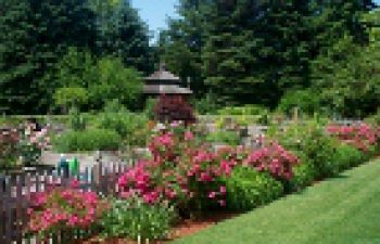 Image of Saranac Lake