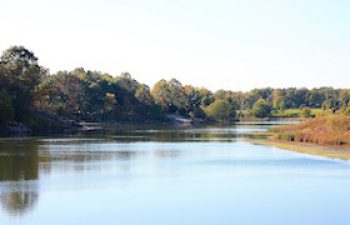 Image of Independence