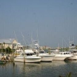 Murrells Inlet, South Carolina image 1