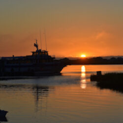 Murrells Inlet, South Carolina image 2