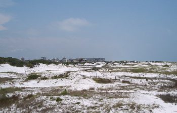 Image of Santa Rosa Beach