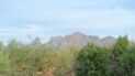 Image of La Cholla Hills