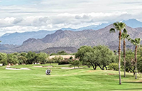 Rio Verde Country Club 55 Plus Community
