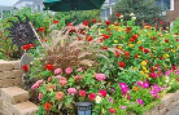 Image of Kennett Square