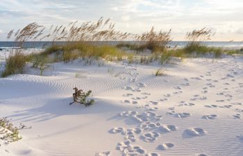 Image of Destin
