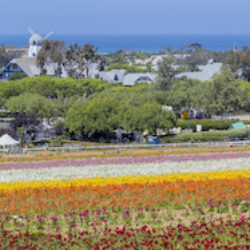 Carlsbad, California image 1