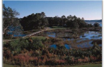 Image of Sun City West