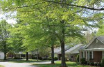 Image of Plano