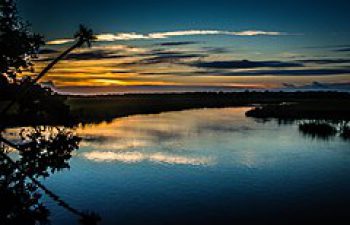 Image of Edisto Island