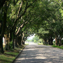 Georgetown, South Carolina image 2