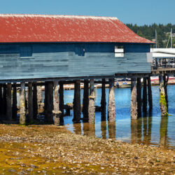 Gig Harbor, Washington image 2