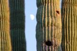 Green Valley Best Places to Retire