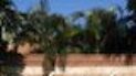 Image of Palm Isles