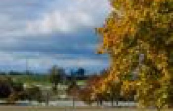 Image of Berea