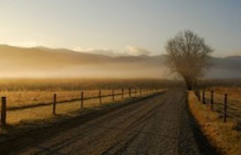 Image of Crossville