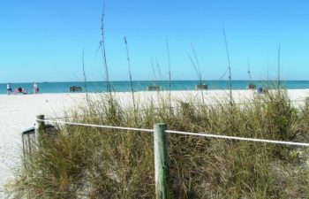 Image of Boynton Beach