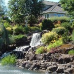Claremont 55 Plus Community