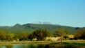 Image of Tonto Verde