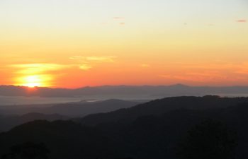 Image of Estero