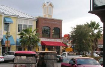Image of The Villages