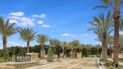 Image of Enclave at Village Walk