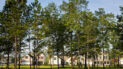 Image of Alston Park at New Riverside