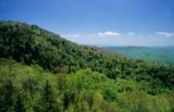 Image of Granite Falls