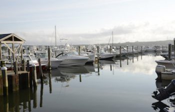 Image of Niantic