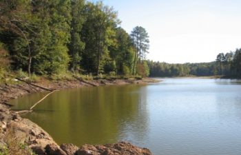 Image of Wake Forest
