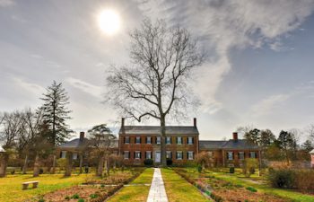 Image of Fredericksburg