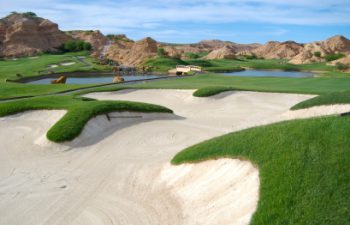 Image of Mesquite