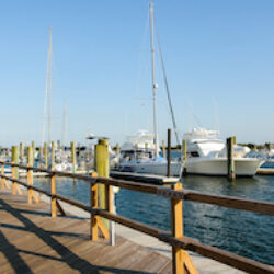 Beaufort, South Carolina image 2