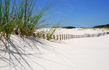Image of Pensacola