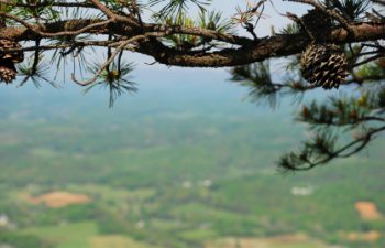 Image of Johnson City