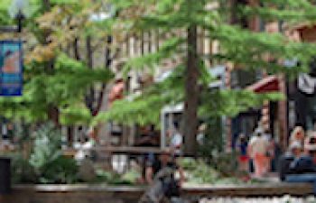 Image of Brick Township